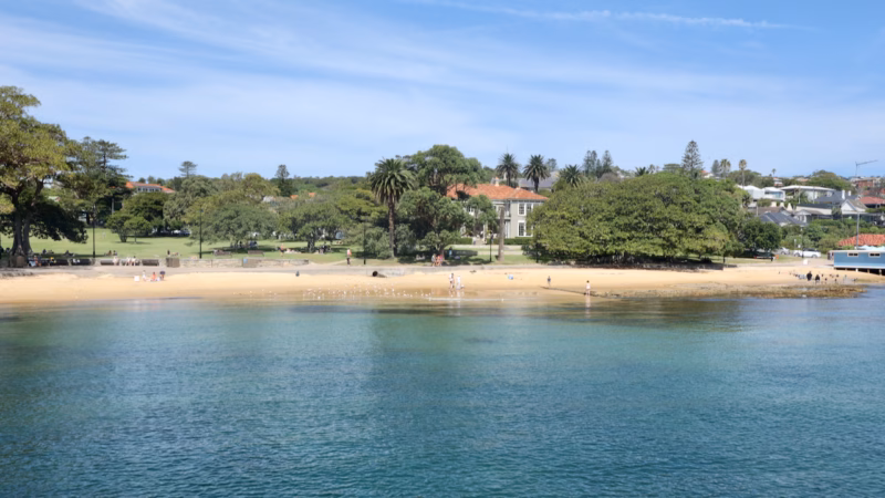 Watsons Bay beach and Robertson Park seen from the water, with heritage houses and fig trees behind
