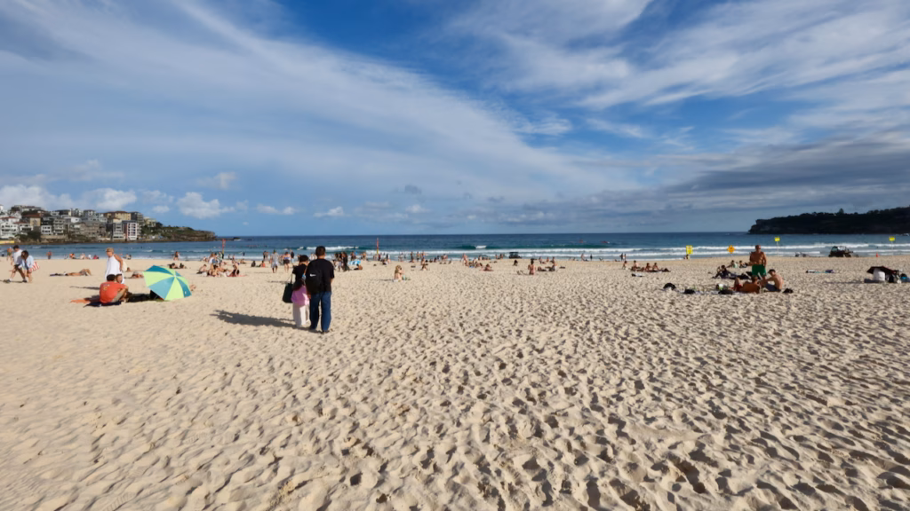 A busy Bondi Beach with red and yellow patrol flags in the surf