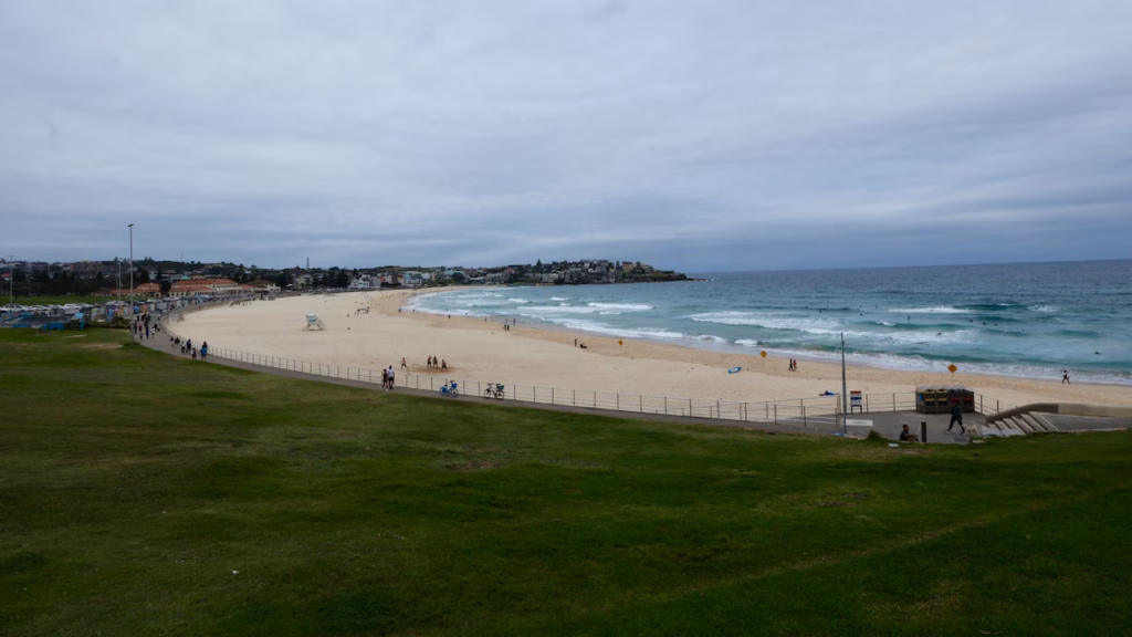 Grassy lawn above the Bondi Beach promenade, with walkers, bicycles and the beach curving towards North Bondi