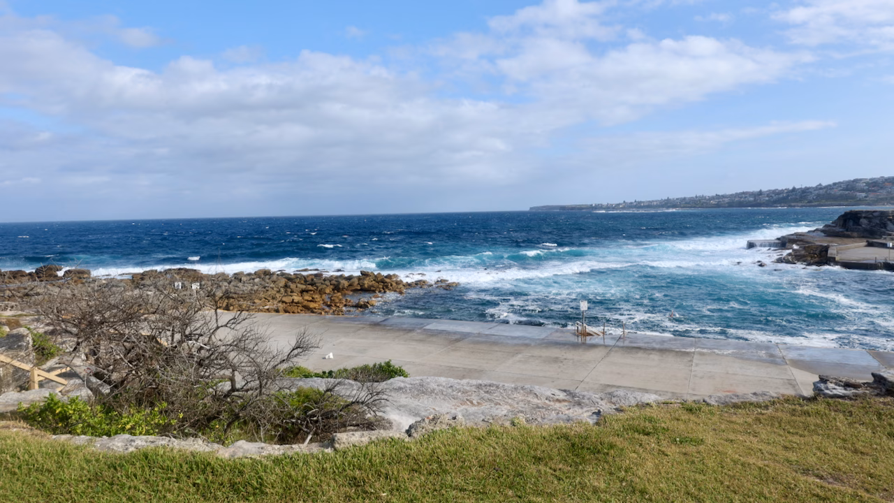 A lone swimmer near the ladder at Clovelly Beach in rough conditions