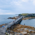 Timber footbridge running across the water from La Perouse to Bare Island and its stone fort, with people walking on the bridge
