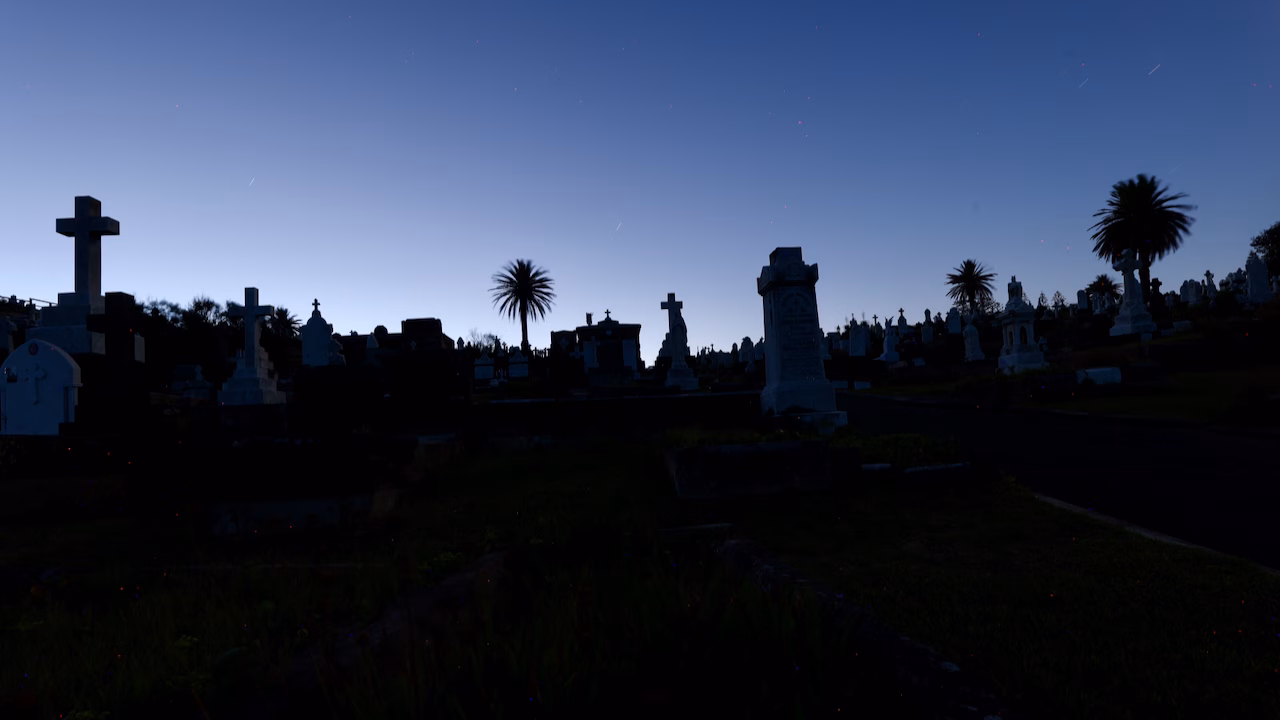 Headstones and palm trees silhouetted at Waverley Cemetery after dark